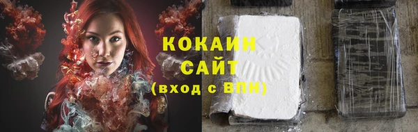 шишки Остров