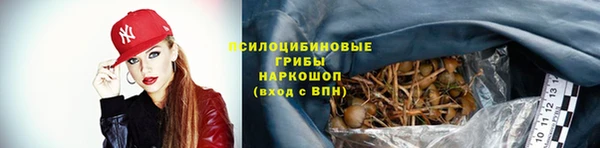 а пвп мука Богданович