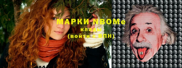 2c-b Богородицк
