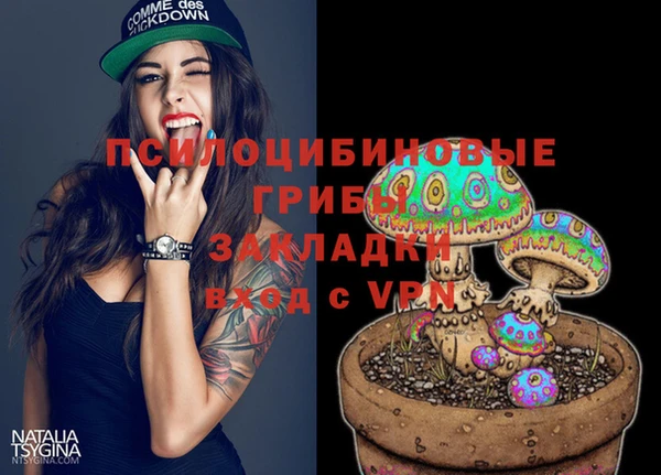 2c-b Богородицк