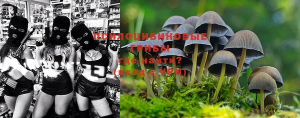 а пвп мука Богданович