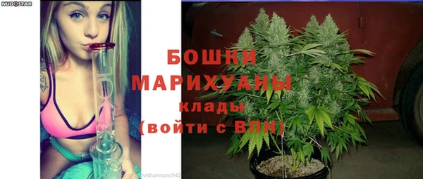 2c-b Богородицк
